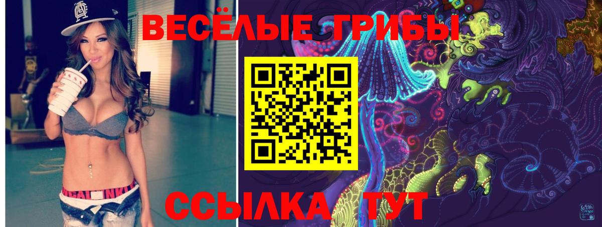 Псилоцибиновые грибы мицелий Азов